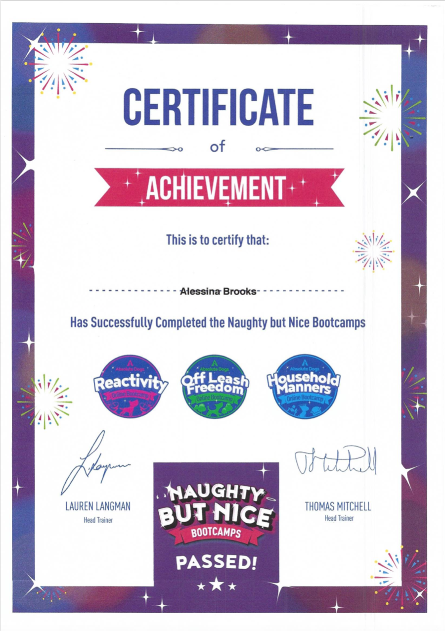 Alessina-Naughty-But-Nice-Certificate