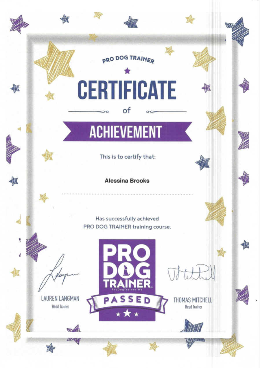 Alessina-ProDog-Trainer-Certificate